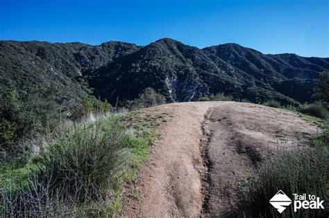 Hiking Mt. Wilson Trail To The Mt. Wilson Observatory via Sierra Madre ...