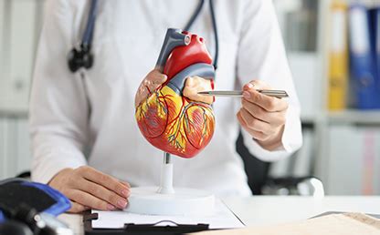 Image result for Routine Heart-Check