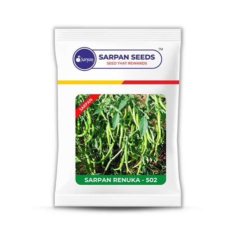 Sarpan Renuka light green Chilli seeds – Sarpan Seeds