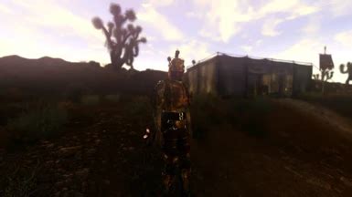 Image result for Fallout New Vegas Randomizer