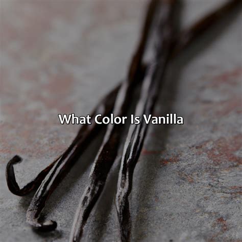 What Color Is Vanilla - colorscombo.com