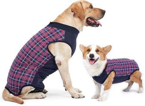 LIANZIMAU Suit Recovery Dog Body Surgical Cone E Collar Alternative ...