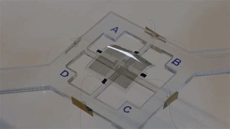 Image result for Artificial Muscle Based Robots