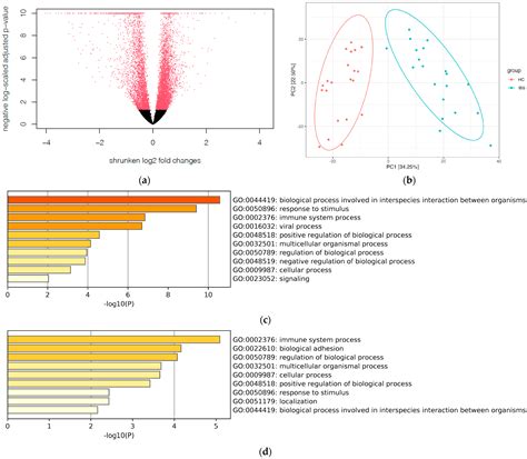 Multi-Omics Analysis of Gut Microbiota and Host Transcriptomics Reveal ...