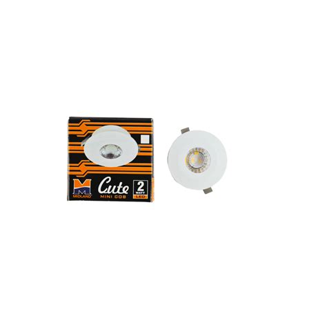 MIDLAND 2W CUTE LED COB SERIES LIGHT