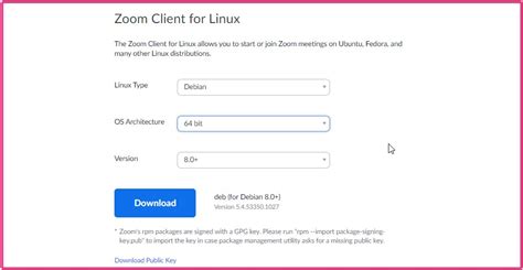 Zoom Client Linux 的图像结果