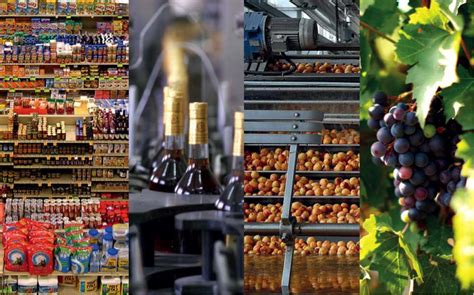 What Is Food Engineering 的图像结果