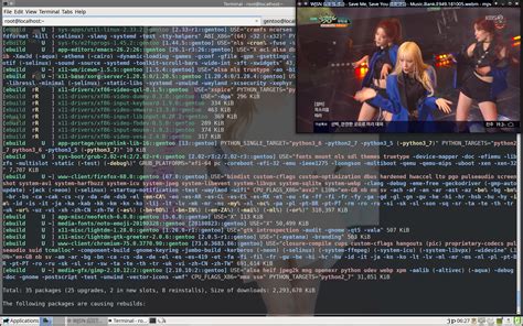 Image result for Gentoo Linux