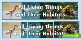 Animals Habitats Pictures Display - Primary Resources