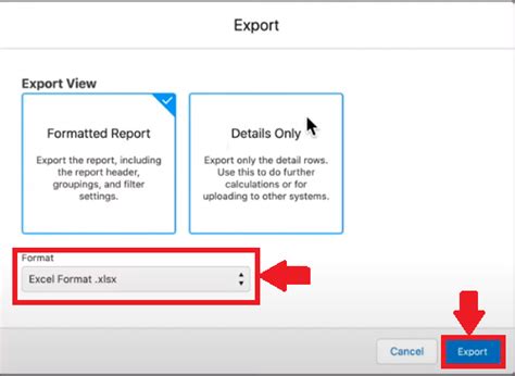 How to Export Salesforce to Excel 的图像结果