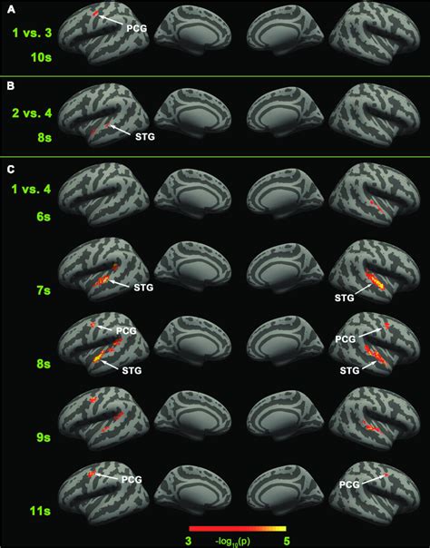 Image result for Neural Coding Numbers