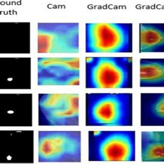 Image result for How Grad CAMWorks