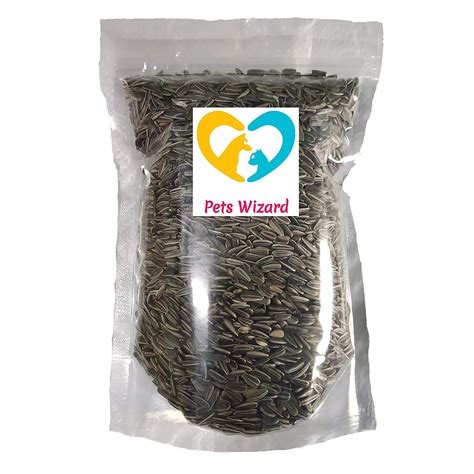 Buy Pets Wizard - Sunflower Seed Bird Food, 500 gm, Dry Seeds, All Life ...