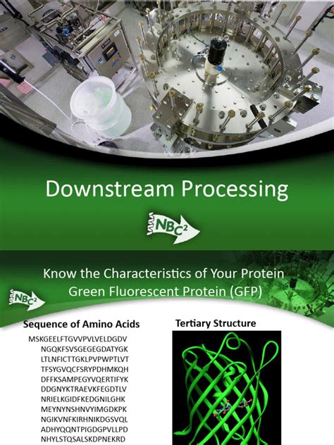 Downstream Processing Procedure 的图像结果