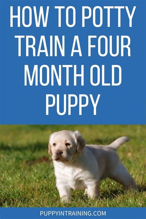 can i train a 2 month old puppy