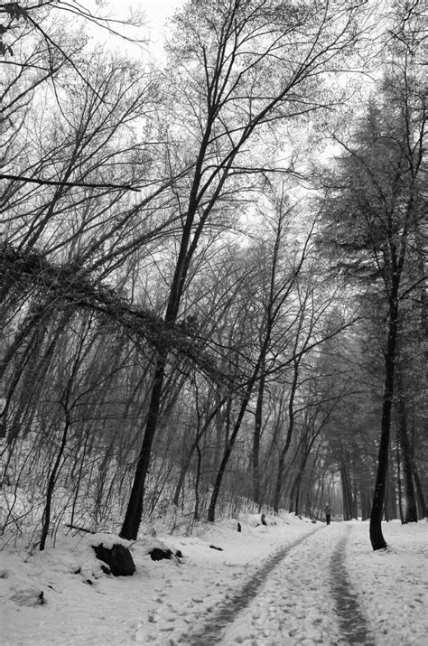 Attraverso l’obiettivo: Autonomia, rumore mediatico e poco altro ...