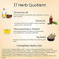 Blue Nectar Ayurvedic Pain Relief oil for Body, Back, Knee, Legs ...