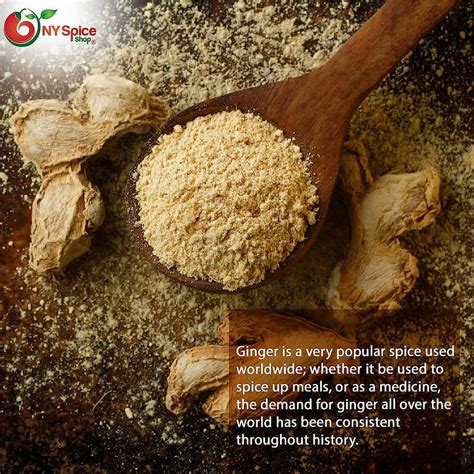 NY SPICE SHOP Ginger Powder - 08 Ounce - Ground Ginger Root Powder ...