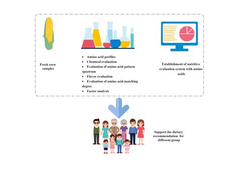 Amino Acid Profiles and Nutritional Evaluation of Fresh Sweet–Waxy Corn ...