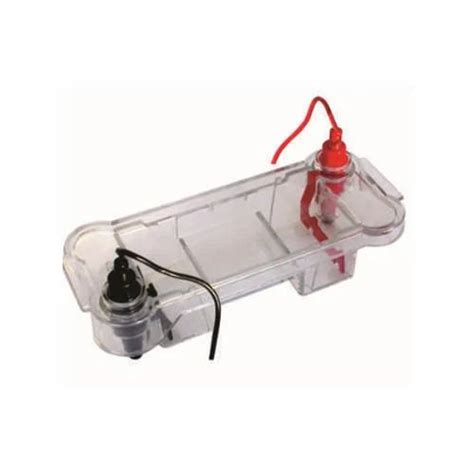 Electrophoresis Apparatus - Electrophoresis Power Supply Digital ...