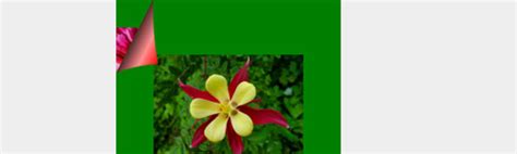 Image result for JS Turn Flip Book Code