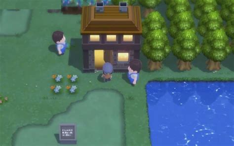 Image result for Move Relearner Usum