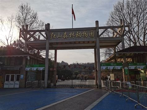 南京红山森林动物园攻略,南京红山森林动物园门票/攻略/地址/图片/门票价格【携程攻略】