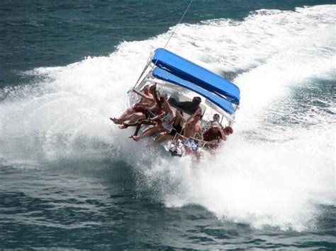 The best part of my trip! - Reviews, Photos - Captain Alan's Boat ...