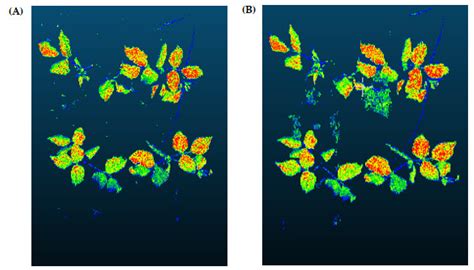 Machine Learning-Based Plant Detection Algorithms to Automate Counting ...