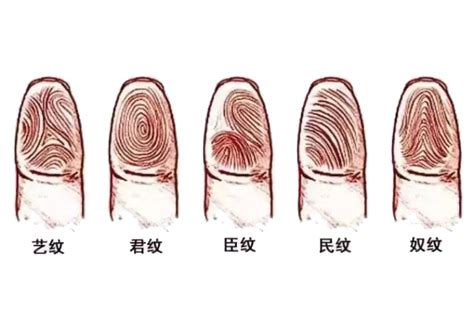 手相解说：手上有8个斗，2个簸箕