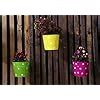 Leafy Tales Metal Chain Hanging Planter - Set of 5 (Rust Free - Red ...