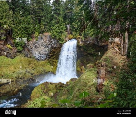 Mckenzie river oregon hi-res stock photography and images - Alamy