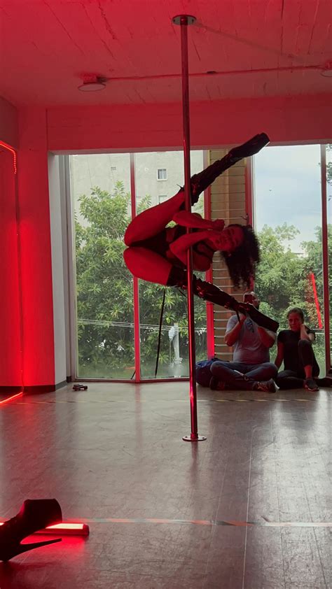 Image result for Trapeze Lessons