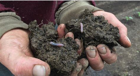 Healey-Driscoll Administration Awards $1 Million to Improve Soil Health ...