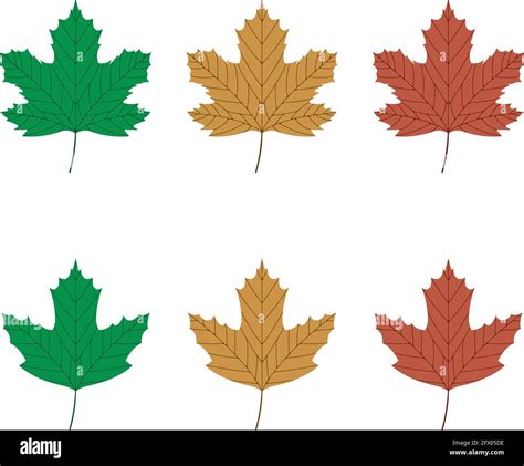 Maple Leaves Clip Art