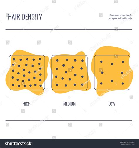 Normal Hair Density 的图像结果