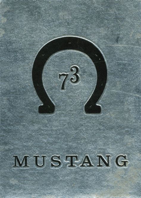 1973 yearbook from Clio High School from Clio, Michigan for sale