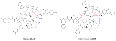 Current Knowledge on Microviridin from Cyanobacteria