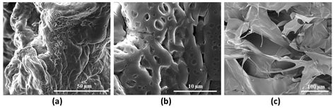 A Covalently Cross-Linked Hyaluronic Acid/Carboxymethyl Cellulose ...