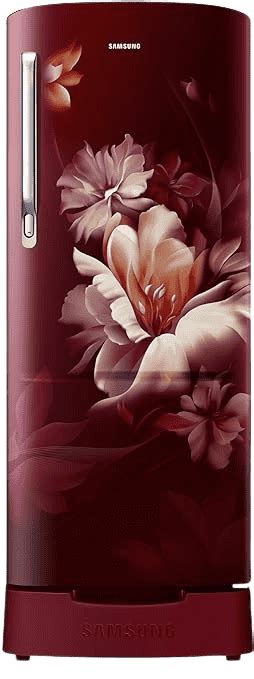 Refrigerators :: Samsung :: Samsung Digital Inverter Direct-Cool Single ...