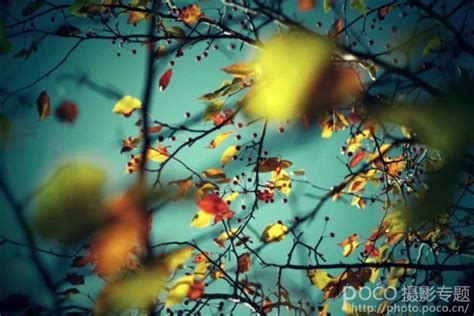 用心感受秋天的美丽，秋季风光摄影的几点技巧