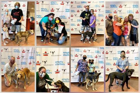 August Pawsome Newsletter