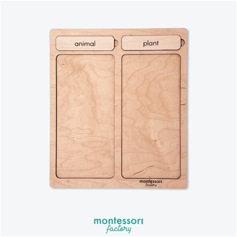 Sorting Tray 的图像结果