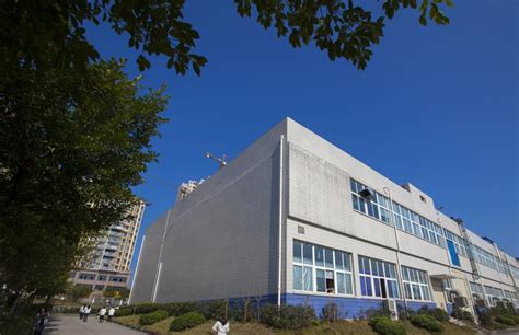 Image result for Toffee Making Machine