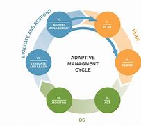 Image result for Adaptive Project Management Methodology
