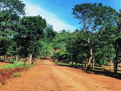 Green Paradise in Punajanur, Chamarajanagar: Price, Brochure, Floor ...