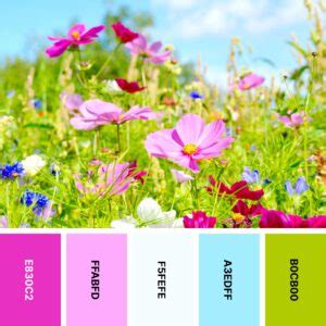 Nature Color 的图像结果