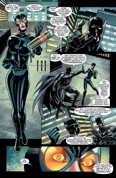 Pin by ash ♡ on DC Comic Couples | Catwoman comic, Batman and catwoman ...