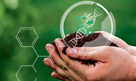 Top 15 Investment Trends Shaping the Indian Economy