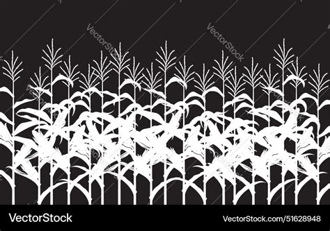 Corn Field Vector 的图像结果